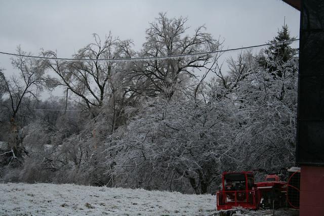 ice storm 005.jpg