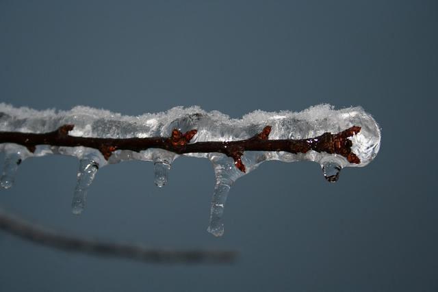 ice storm 034.jpg