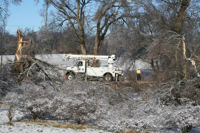 ice storm 037.jpg