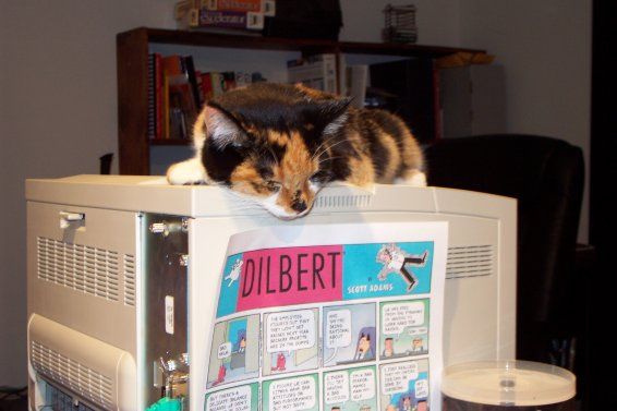 The printer is warm.