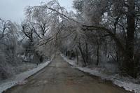 ice storm 021.jpg