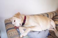 Chelsea's favorite spot.